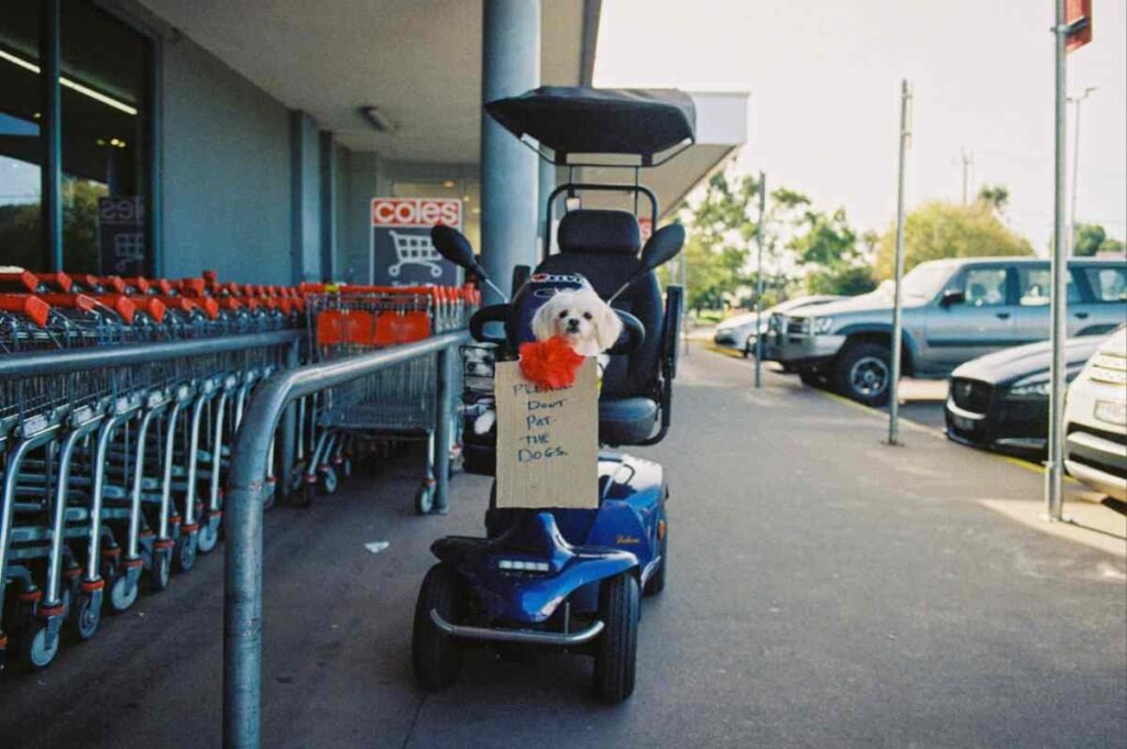Best All-Terrain Mobility Scooters