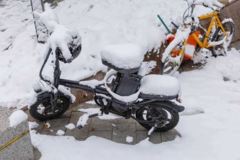 mobility scooter for snow
